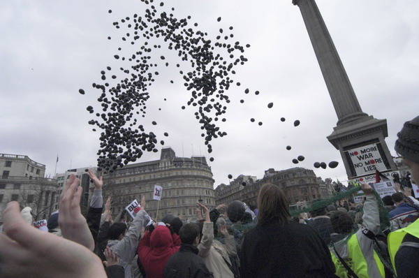 Picture © Peter Marshall, 2004