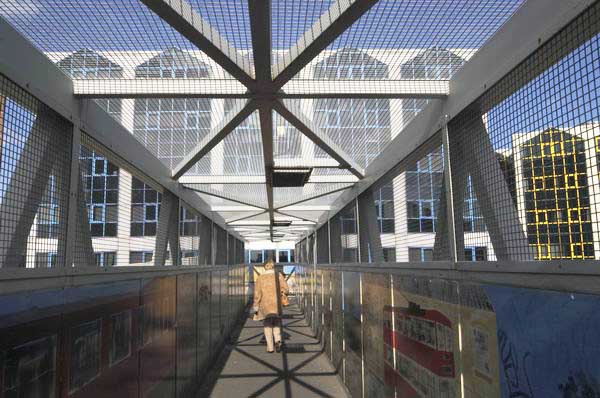 Picture &copy; Peter Marshall, 2004