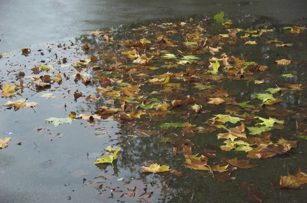 &copy; 2005, Peter Marshall