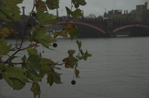 &copy; 2005, Peter Marshall