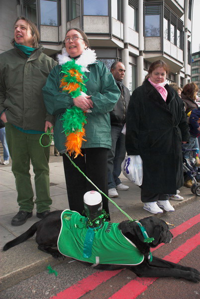 St Patrick's Day Parade, London &copy; 2006, Peter Marshall