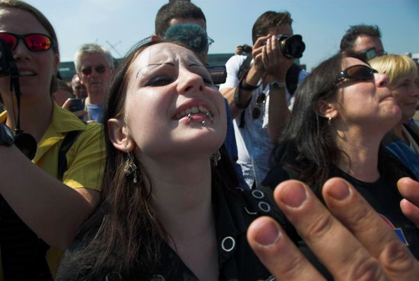 LAB Sheep Drive, © 2006, Peter Marshall