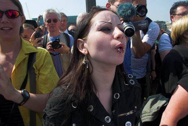 LAB Sheep Drive, © 2006, Peter Marshall