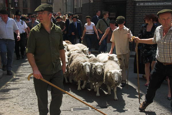 LAB Sheep Drive, © 2006, Peter Marshall