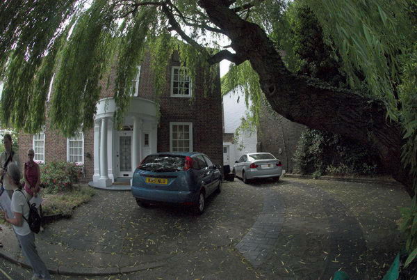 Trees in St John's Wood © 2006, Peter Marshall