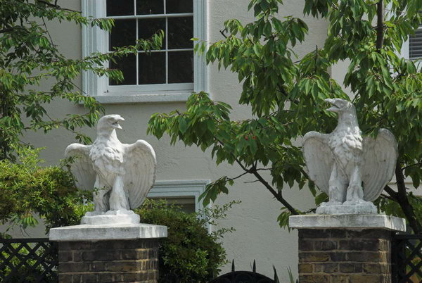 Trees in St John's Wood © 2006, Peter Marshall