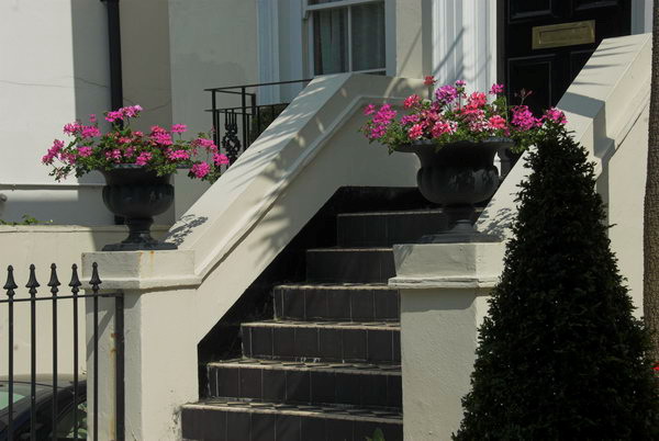 Trees in St John's Wood © 2006, Peter Marshall