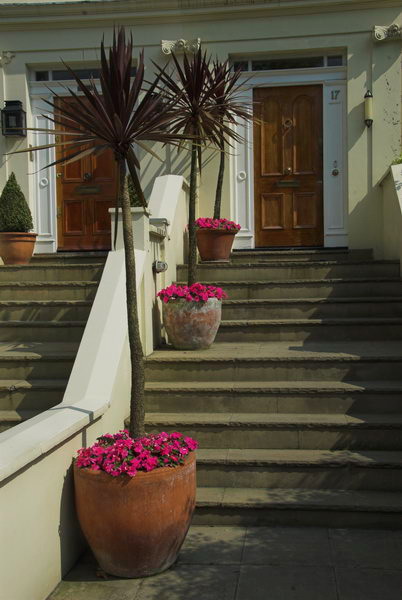 Trees in St John's Wood © 2006, Peter Marshall