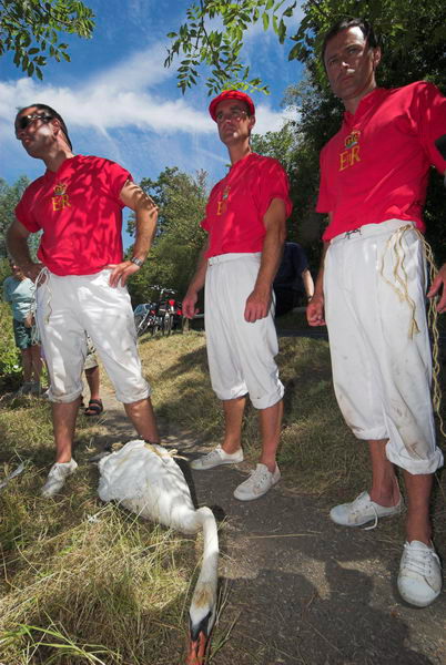 Swan Upping © 2006, Peter Marshall