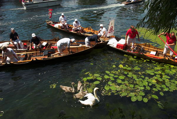 Swan Upping © 2006, Peter Marshall