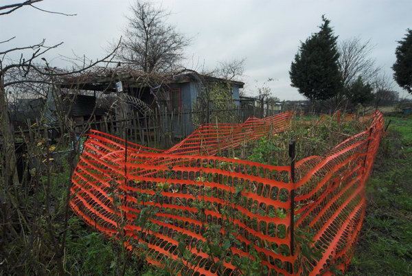 Manor Garden Allotments, Hackney Wick © Peter Marshall, 2007