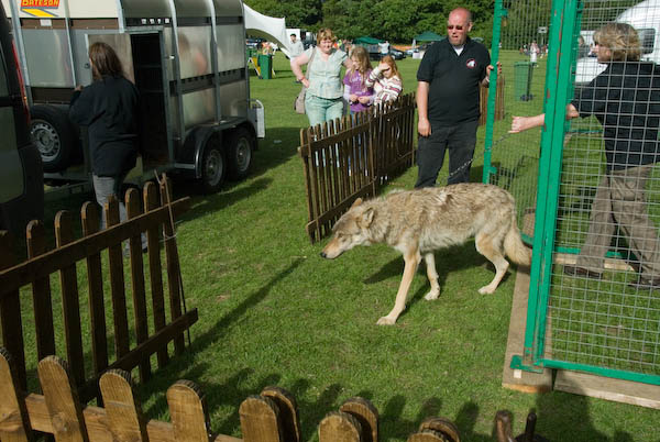 Walton-on-the-Hill May Pageant &copy; 2007, Peter Marshall