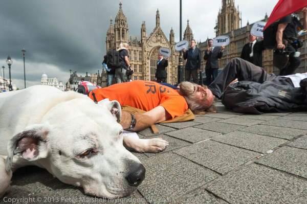 Arms Trade Die-In at Parliament